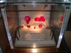 Smithsonian case 2